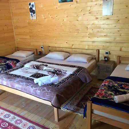 Valbona Villa Buitenkant foto